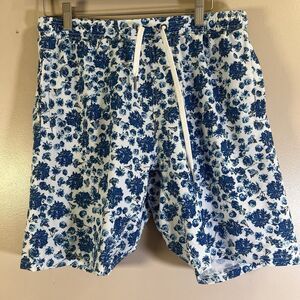 Albion Fit Men’s Swim Trunks Size 34 Wind & Sea Shorts Lined Santorini Blue